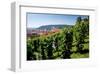 View from St. Wenceslas' Vineyard at the Royal Gardens on Hradcany towards Prague Lesser Town-null-Framed Art Print