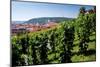 View from St. Wenceslas' Vineyard at the Royal Gardens on Hradcany towards Prague Lesser Town-null-Mounted Art Print