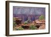 View from Sunset Point-Don Paulson-Framed Giclee Print