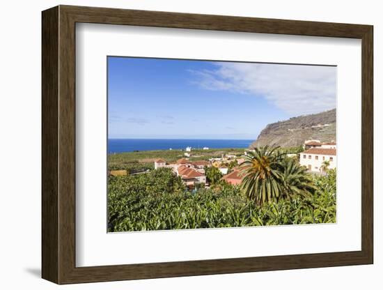 View from Tazacorte over Banana Plantations to the Sea, La Palma, Canary Islands, Spain, Europe-Gerhard Wild-Framed Photographic Print