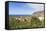 View from Tazacorte over Banana Plantations to the Sea, La Palma, Canary Islands, Spain, Europe-Gerhard Wild-Framed Stretched Canvas