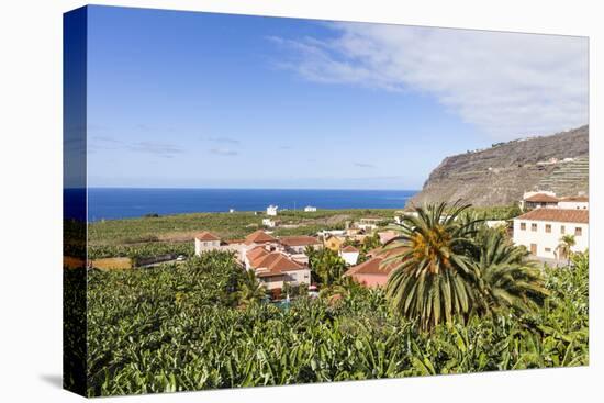 View from Tazacorte over Banana Plantations to the Sea, La Palma, Canary Islands, Spain, Europe-Gerhard Wild-Stretched Canvas