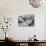 View from Teke-Tor Towards Peaks, Ala Archa National Park, Tian Shan Mountains-Nadia Isakova-Photographic Print displayed on a wall