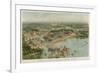 View from the Air of the Chicago World Fair-null-Framed Premium Giclee Print