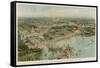 View from the Air of the Chicago World Fair-null-Framed Stretched Canvas