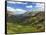 View from the Alpine Visitor Center, Rocky Mountain National Park, Colorado, USA-Michel Hersen-Framed Stretched Canvas