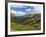 View from the Alpine Visitor Center, Rocky Mountain National Park, Colorado, USA-Michel Hersen-Framed Photographic Print