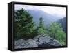 View from the Alum Cave Bluffs Trail in Great Smoky Mountains National Park, Tennessee, USA-Robert Francis-Framed Stretched Canvas