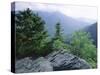 View from the Alum Cave Bluffs Trail in Great Smoky Mountains National Park, Tennessee, USA-Robert Francis-Stretched Canvas