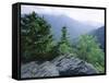 View from the Alum Cave Bluffs Trail in Great Smoky Mountains National Park, Tennessee, USA-Robert Francis-Framed Stretched Canvas