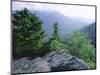 View from the Alum Cave Bluffs Trail in Great Smoky Mountains National Park, Tennessee, USA-Robert Francis-Mounted Photographic Print