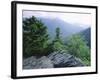 View from the Alum Cave Bluffs Trail in Great Smoky Mountains National Park, Tennessee, USA-Robert Francis-Framed Photographic Print