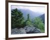 View from the Alum Cave Bluffs Trail in Great Smoky Mountains National Park, Tennessee, USA-Robert Francis-Framed Photographic Print