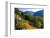 View from the Botanical Garden San Grato towards the Lake and Monte Bre Mountain-null-Framed Premium Giclee Print