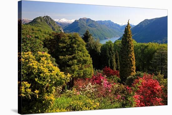 View from the Botanical Garden San Grato towards the Lake and Monte Bre Mountain-null-Stretched Canvas