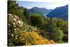 View from the Botanical Garden San Grato towards the Lake and Monte Bre Mountain-null-Stretched Canvas