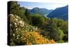 View from the Botanical Garden San Grato towards the Lake and Monte Bre Mountain-null-Stretched Canvas