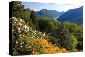 View from the Botanical Garden San Grato towards the Lake and Monte Bre Mountain-null-Stretched Canvas