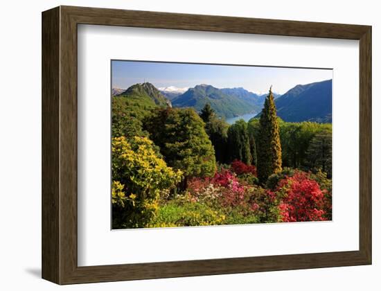 View from the Botanical Garden San Grato towards the Lake and Monte Bre Mountain-null-Framed Art Print