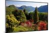 View from the Botanical Garden San Grato towards the Lake and Monte Bre Mountain-null-Mounted Art Print