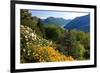 View from the Botanical Garden San Grato towards the Lake and Monte Bre Mountain-null-Framed Art Print