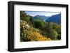 View from the Botanical Garden San Grato towards the Lake and Monte Bre Mountain-null-Framed Art Print