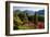 View from the Botanical Garden San Grato towards the Lake and Monte Bre Mountain-null-Framed Art Print