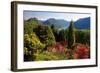 View from the Botanical Garden San Grato towards the Lake and Monte Bre Mountain-null-Framed Art Print