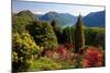 View from the Botanical Garden San Grato towards the Lake and Monte Bre Mountain-null-Mounted Art Print