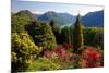 View from the Botanical Garden San Grato towards the Lake and Monte Bre Mountain-null-Mounted Art Print