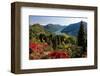 View from the Botanical Garden San Grato towards the Village and the Lake-null-Framed Art Print