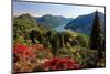 View from the Botanical Garden San Grato towards the Village and the Lake-null-Mounted Art Print