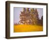 View from the Cabin (Oil on Board)-William Ireland-Framed Giclee Print