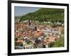 View from the Castle of the Old City, and the River Neckar, Heidelberg, Baden-Wurttemberg, Germany-James Emmerson-Framed Photographic Print