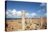 View from the Central Basilica, Apollonia, Libya, North Africa, Africa-Oliviero Olivieri-Stretched Canvas