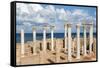 View from the Central Basilica, Apollonia, Libya, North Africa, Africa-Oliviero Olivieri-Framed Stretched Canvas