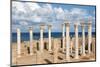 View from the Central Basilica, Apollonia, Libya, North Africa, Africa-Oliviero Olivieri-Mounted Photographic Print