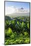 View from the Daraga Church on the Mount Mayon Volcano, Legaspi, Southern Luzon, Philippines-Michael Runkel-Mounted Photographic Print