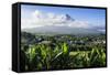 View from the Daraga Church over Mount Mayon Volcano, Legaspi, Southern Luzon, Philippines-Michael Runkel-Framed Stretched Canvas