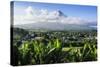 View from the Daraga Church over Mount Mayon Volcano, Legaspi, Southern Luzon, Philippines-Michael Runkel-Stretched Canvas