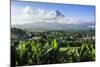 View from the Daraga Church over Mount Mayon Volcano, Legaspi, Southern Luzon, Philippines-Michael Runkel-Mounted Photographic Print