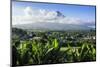 View from the Daraga Church over Mount Mayon Volcano, Legaspi, Southern Luzon, Philippines-Michael Runkel-Mounted Photographic Print