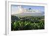 View from the Daraga Church to the Volcano of Mount Mayon, Legaspi, Southern Luzon, Philippines-Michael Runkel-Framed Photographic Print