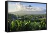 View from the Daraga Church to the Volcano of Mount Mayon, Legaspi, Southern Luzon, Philippines-Michael Runkel-Framed Stretched Canvas