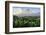 View from the Daraga Church to the Volcano of Mount Mayon, Legaspi, Southern Luzon, Philippines-Michael Runkel-Framed Photographic Print