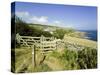 View from the Devon Coast Path at Prawle Point, South Hams, Devon, England, United Kingdom-David Hughes-Stretched Canvas