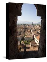 View from the Giunigi Tower, Lucca, Tuscany, Italy, Europe-Oliviero Olivieri-Stretched Canvas