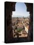 View from the Giunigi Tower, Lucca, Tuscany, Italy, Europe-Oliviero Olivieri-Stretched Canvas