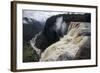 View from the Kaieteur Falls Rim into the Potaro River Gorge, Guyana, South America-Mick Baines & Maren Reichelt-Framed Photographic Print