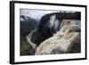 View from the Kaieteur Falls Rim into the Potaro River Gorge, Guyana, South America-Mick Baines & Maren Reichelt-Framed Photographic Print